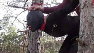 Tied up to a tree outdoor on sexy clothes wearing pantyhose and high ankle boots heels rough fuck